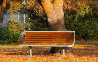 Rêver de banc sous un arbre