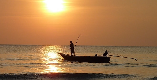 Que signifie rêver de pêcher ?