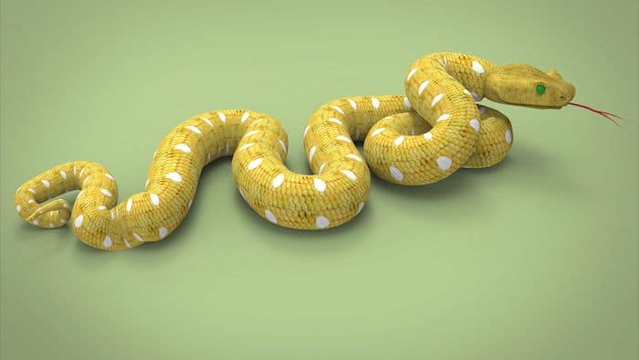 Que signifie un rêve de serpent jaune ?