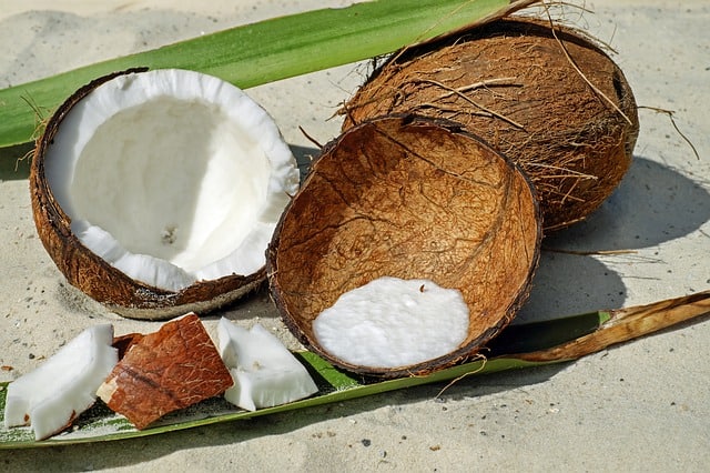 Que signifie rêver de noix de coco ?