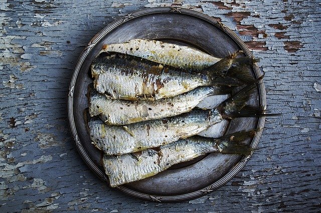 Que signifie rêver de sardine ?