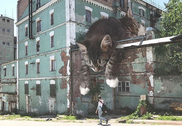 Pourquoi rêver de chat géant ?
