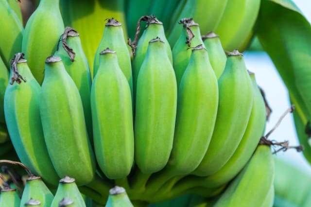 Que signifie rêver de bananes vertes ?
