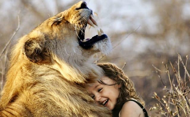Que signifie rêver de caresser un lion ?