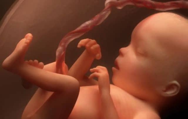 Que signifie rêver de fœtus ?